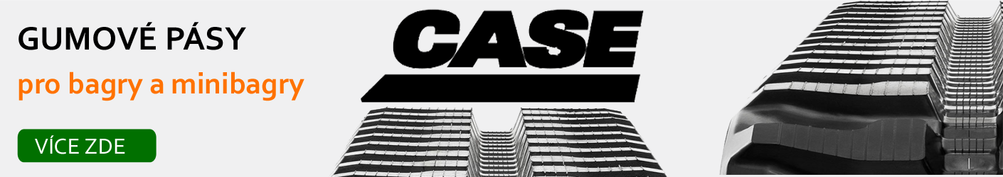 case
