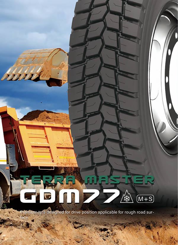 TERRA MASTER GDM77 Windforce