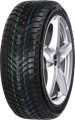 165/65 R14 79T NeoWinter NEOLIN